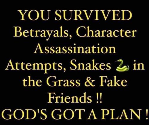 040a401272df9156e251d894c3eea91e