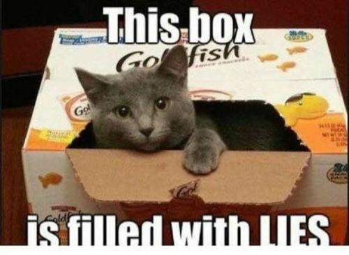 9e67e2d955c3c214bdfd9de9557ff67d