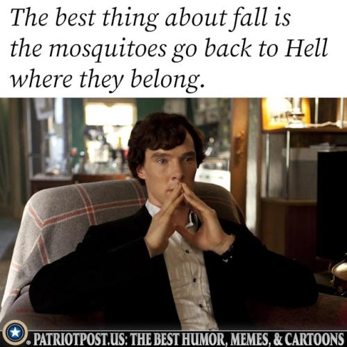 01J98BP3QK3QGDV1EMX0HMSXD1