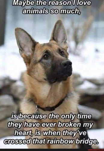 52b366eaa8e9eb0ef4d5d64cb0c79cefbe77b2782cd8cefc7cc534476478bd68_1