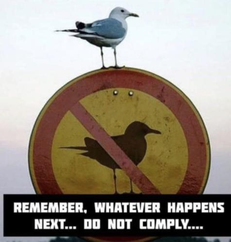 Screenshot_20241005_070920_Facebook