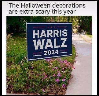 image_CDDA56B9-697F-4499-9D74-02BC7692E8D4