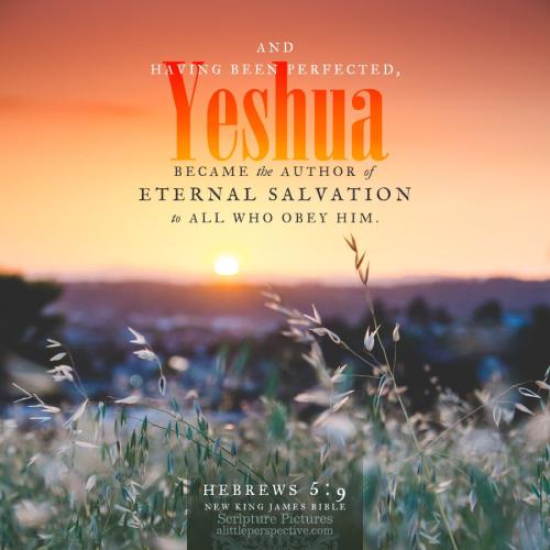 heb-5-9-NKJV-unsplash-1