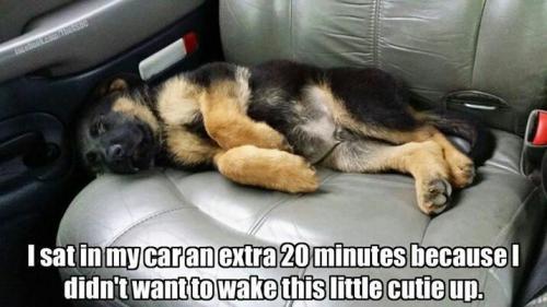 c54441ca7cb6f7d7a9b9fed164c9e4f1