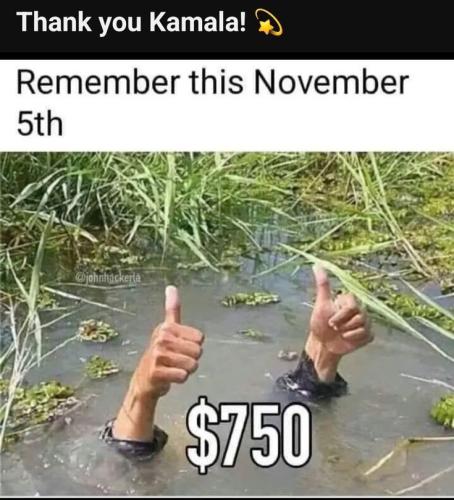 ffb14c184d0904e81841531ad257669c