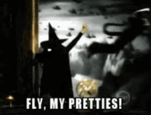 34b1f0bf-7ef4-4ee3-88d6-9e26139dad51