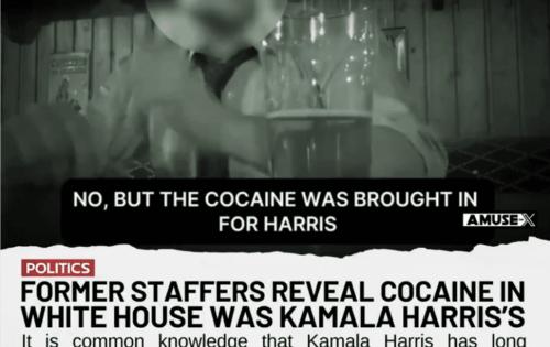 Cocaine Kamala