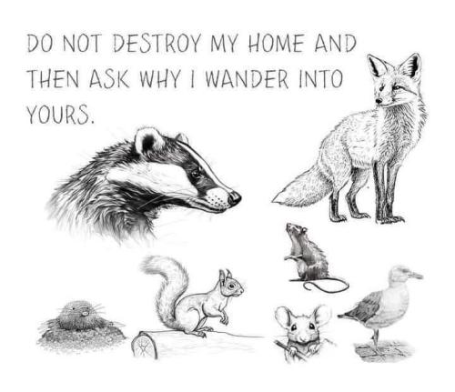 DB2B768E-A58E-4BC1-A943-596D3A1DB834