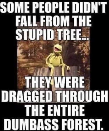 f796dc21-8113-4d50-a2e9-bcfc04ba4e26