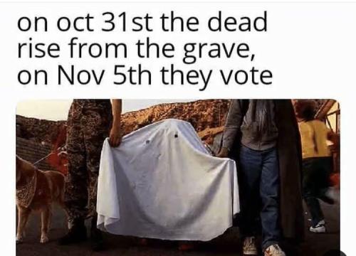 image_33D48BA6-B3A7-488B-A447-F3DF334DDC6A