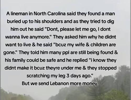 IMG_20241016_170204_383