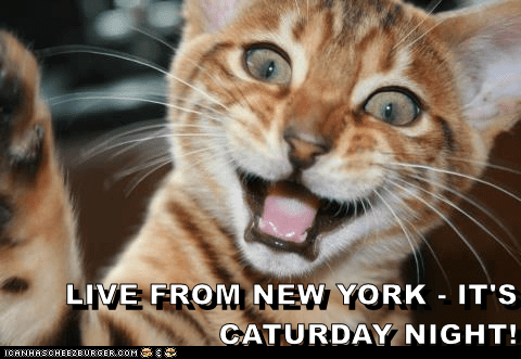 live-from-new-york-its-caturday-night