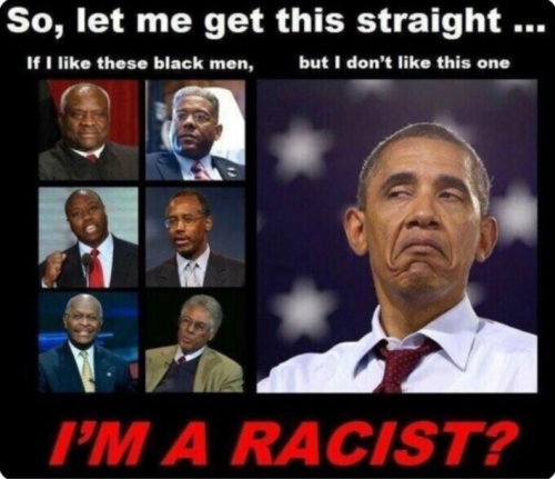 OBAMA RACIST