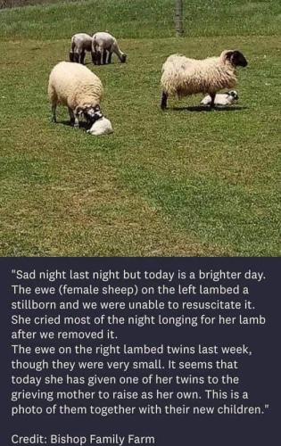 F0EB61A9-D110-438D-BA8F-02911B9A908F