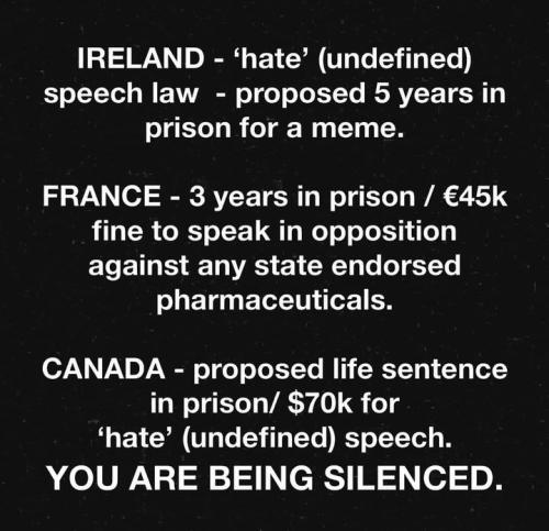 Screenshot_2024-03-25-10-07-36-59_1c337646f29875672b5a61192b9010f9