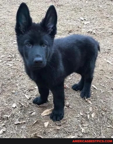 60937d018e1db5e495169e94f522d49f5971525297be26c85a305507f5f14d61_1