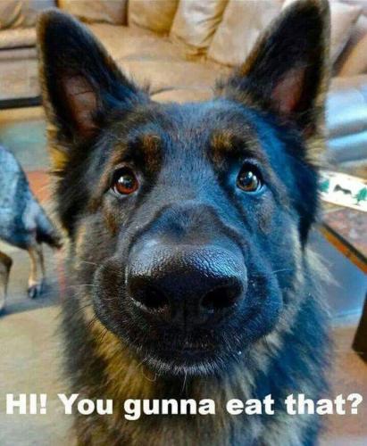 8e8c7c6be580c55f697241988b5e8d59