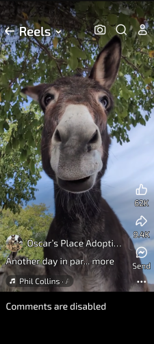 Screenshot_20241025-155618