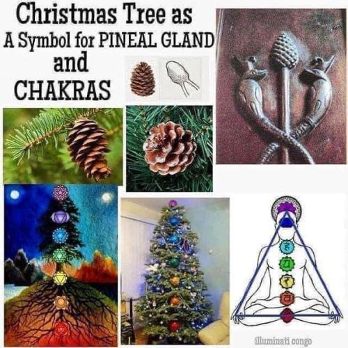 ,                             ,     ,