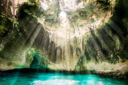 ,                             ,     ,