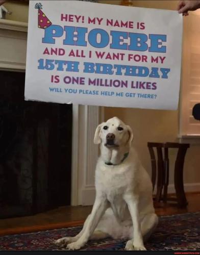 ef29b0653c9ac9e3f1c47c343394d5999dbc492cec524cef68ee7c20ab461e1f_1