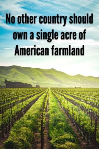 american farmland