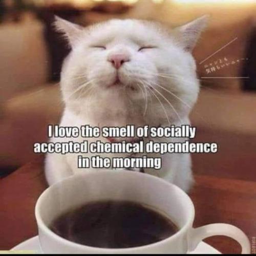 461963610_8886091958081946_340969938468805761_n