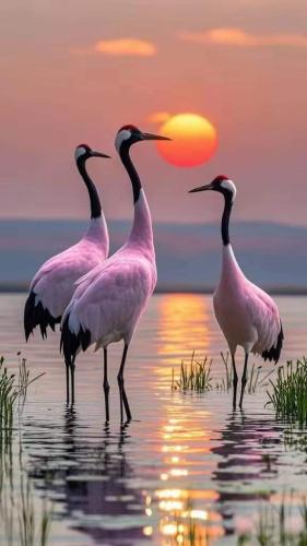 FB_IMG_1730313236816