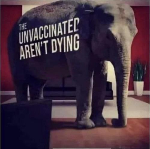 Screenshot_20241020_052255_Facebook