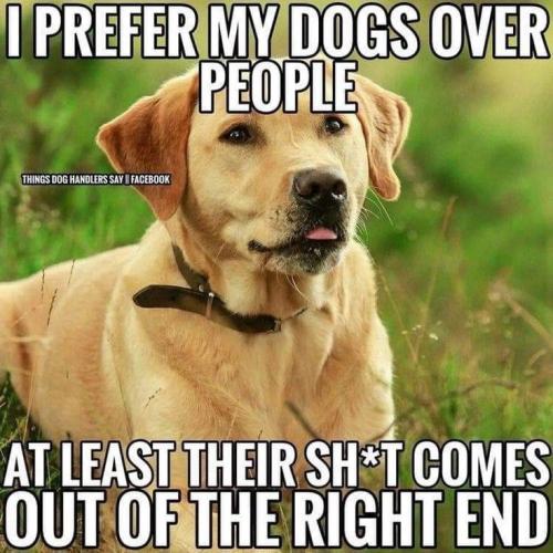 770538b8d919ab1322faa8f2967cd3a5