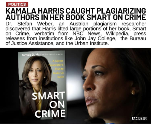 image_2024-10-15_062017802