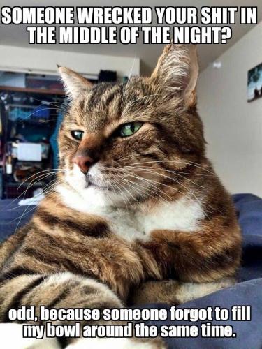 6a6ebcec29d1eb99de6c30fa26608504