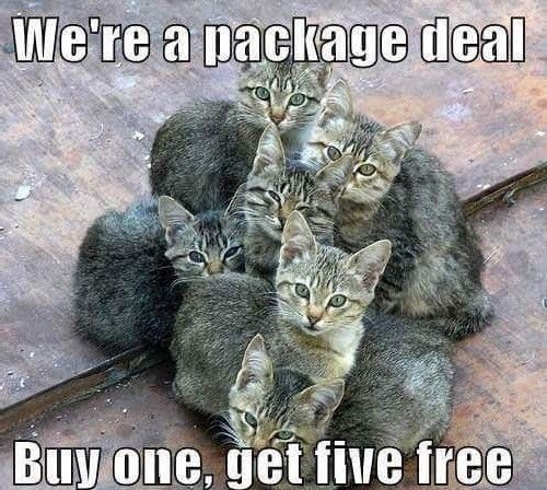 12faeaf5b7b40d40cf4d6d7e78ef1bda