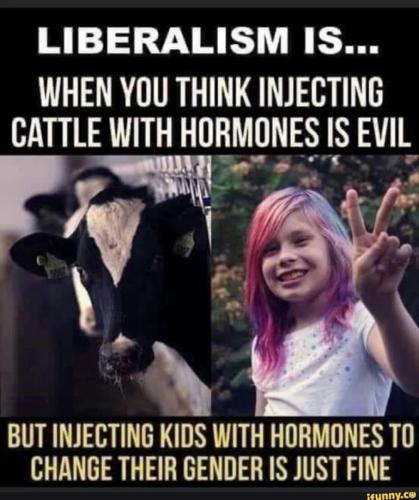 3c90a62c-2411-4ee8-b038-ab971f97f51a