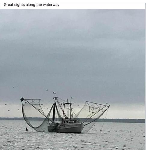 4945004C-9C1A-4600-9BDD-2515302AB45E