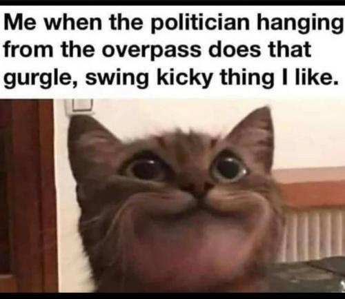 image_7B4522DA-15AC-4017-AA8B-C93B0150A7E6