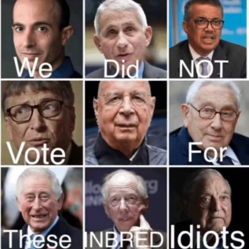 image_2024-10-30_065625063