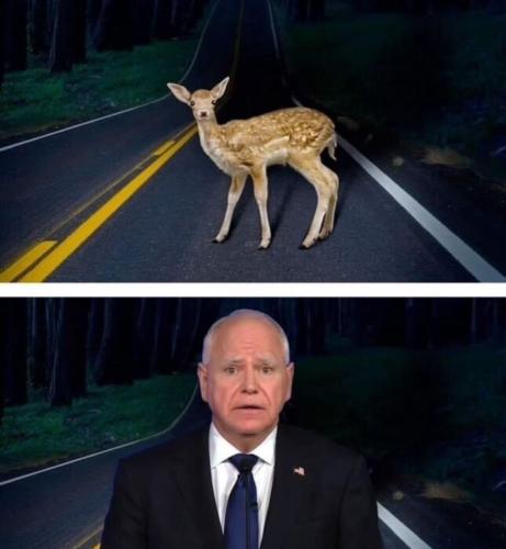 image_32C0AF3B-6C17-4D2B-8ED8-01D7391C2193