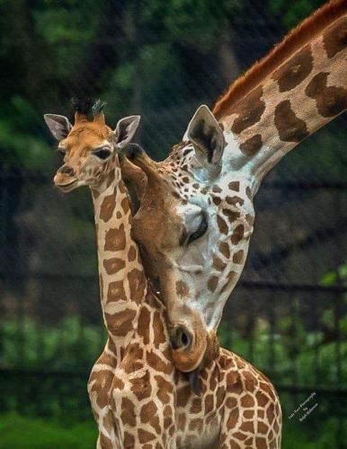 FB_IMG_1730393686369