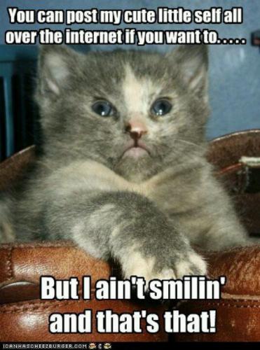 201843944dae125b341261e950734a56