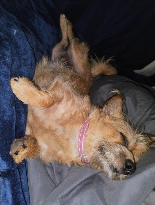 IMG_20241011_222545821_AE