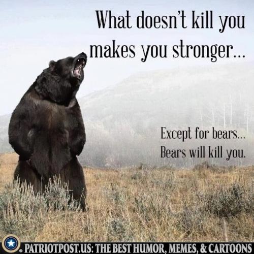 01J95E86CX2A3MPXYKCG2SJ8P3