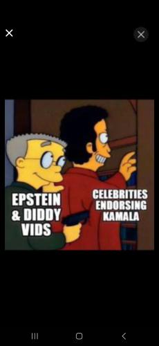 Screenshot_20241030_012518_Wimkin Free Speech Social Media