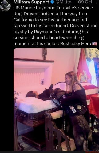 abf2bc40d912569c698ac427fd9f379d414513a11a2566713df8553685d775a5_1