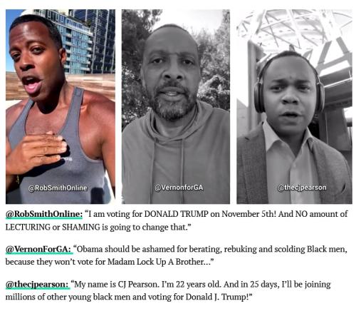 xephula_414c4f942005dd5a43f1f763347afee4