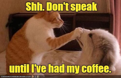 i-like-my-coffee-with-a-side-of-silence