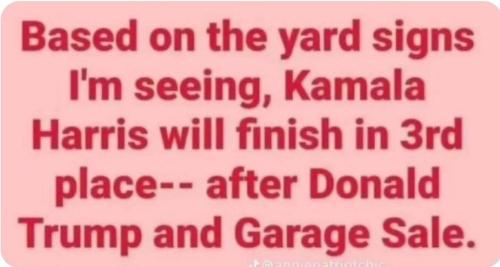 photo_2024-10-10_16-14-34