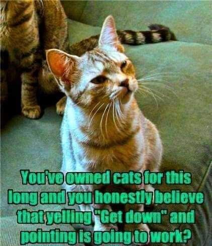 3a8f8702fd0a9a7477e2d84abffeb667