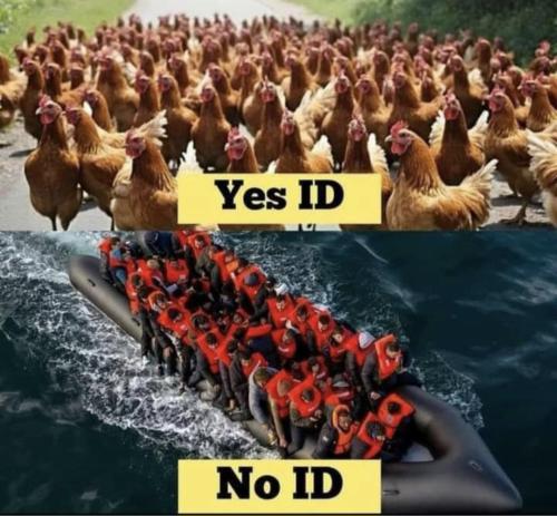 Screenshot_20241006_014840_Facebook