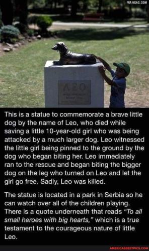 23864b585c9d22e8713343845e522252097639e8d78c734cd70a4d10605f3a5f_1